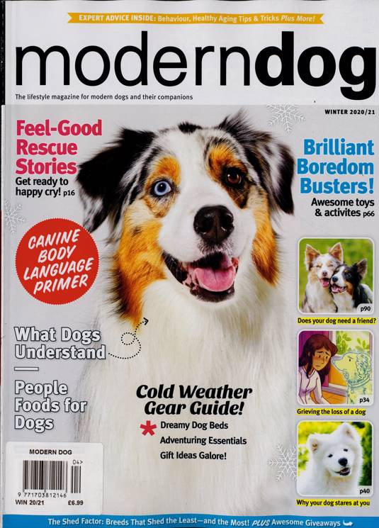 Modern Dog Magazine Subscription Buy at Newsstand.co.uk Dogs