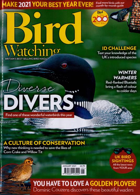 Bird Watching Magazine Subscription Buy at Newsstand.co.uk Birds