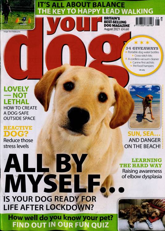 Your Dog Magazine Subscription Buy at Newsstand.co.uk Dogs