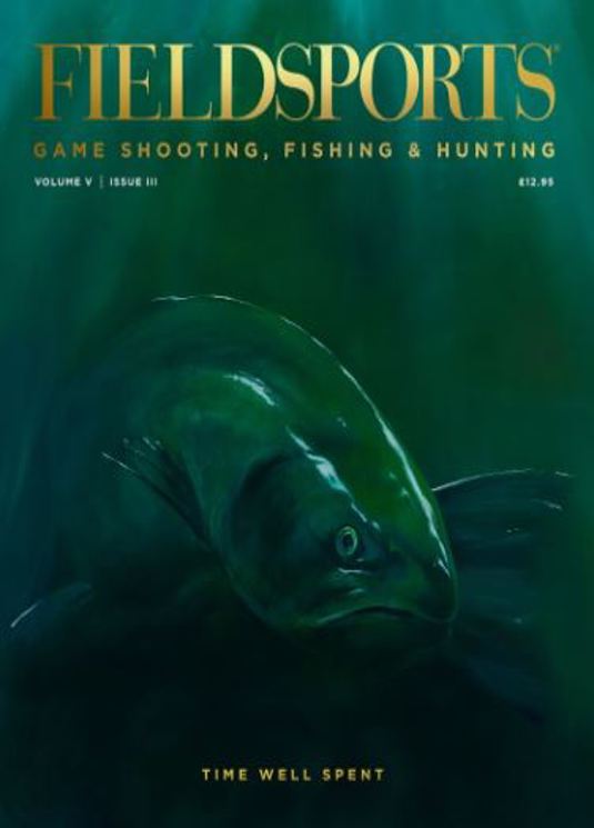 Fieldsports Magazine Subscription Buy at Newsstand.co.uk Countryside