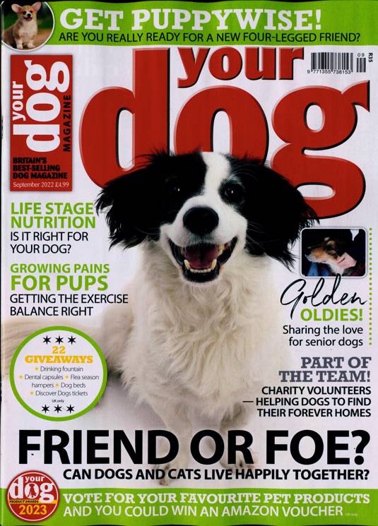 hebrew national knockwurst