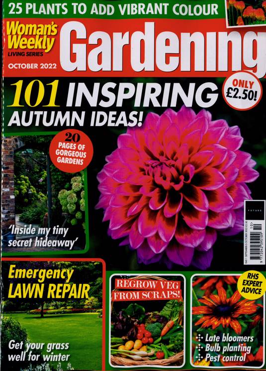 Womans Weekly Living Series Magazine Subscription | Buy at Newsstand.co ...