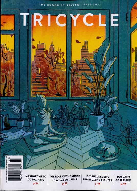 Tricycle Buddhist Magazine Subscription Buy at Newsstand.co.uk US