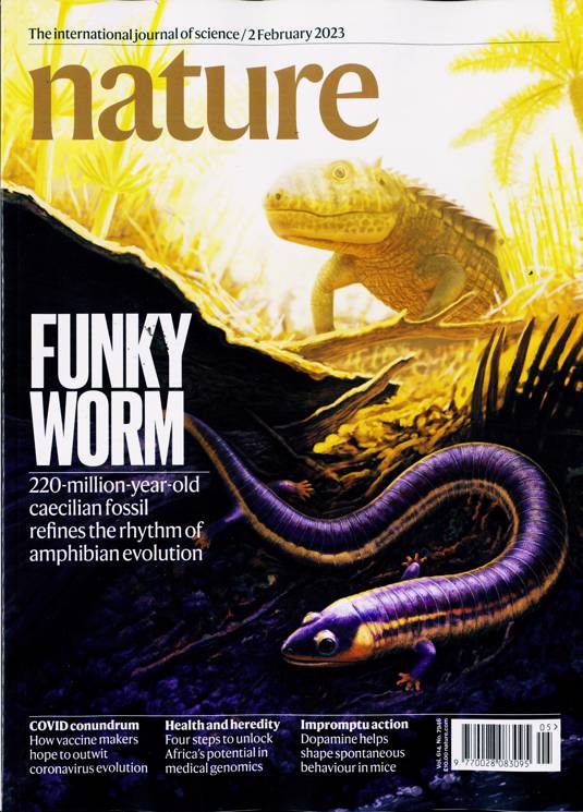 Nature Magazine Subscription Buy at Newsstand.co.uk Science