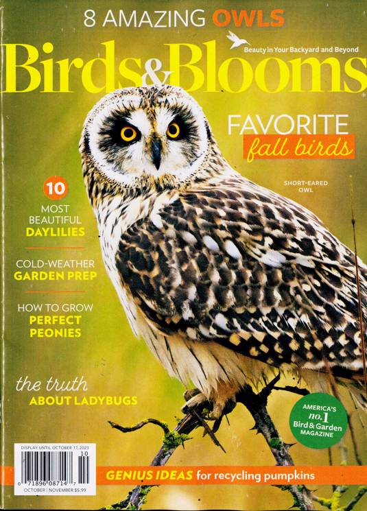 Birds And Blooms Magazine Subscription Buy at Newsstand.co.uk US