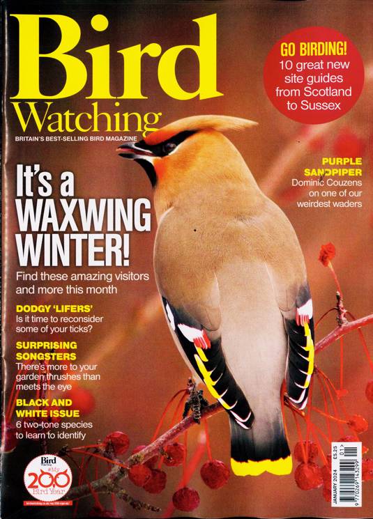 Bird Watching Magazine Subscription Buy at Newsstand.co.uk Birds